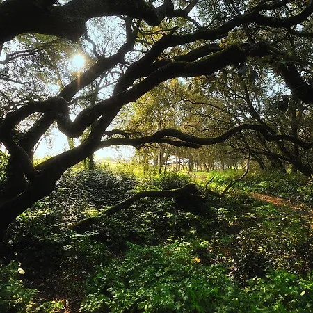 Koat Ar Mor Noirmoutier-en-l'Île
