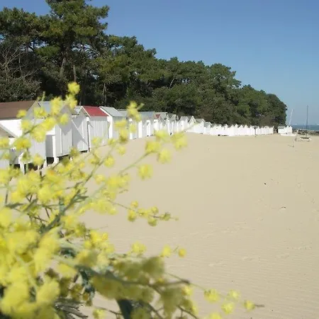 Koat Ar Mor Noirmoutier-en-l'Île