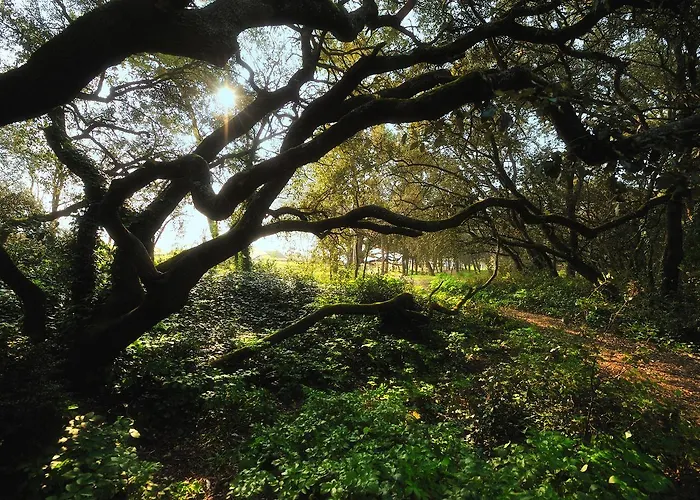Koat Ar Mor Noirmoutier-en-l'Ile